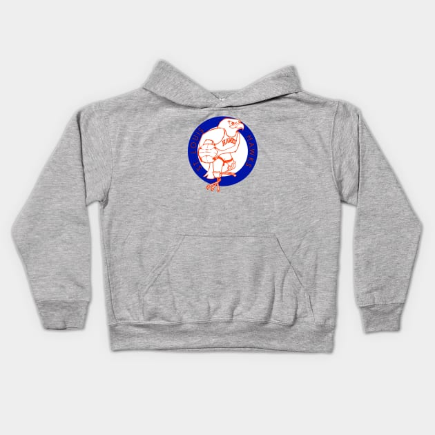 DEFUNCT - ST. LOUIS HAWKS Kids Hoodie by LocalZonly